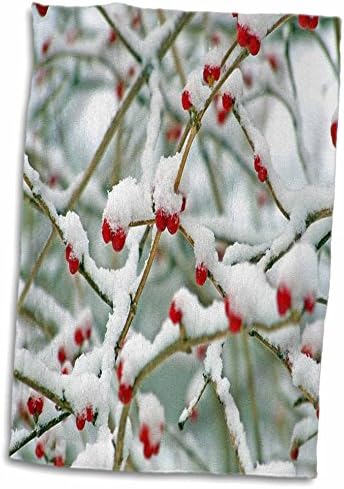ענפי ורדים תלת מימדיים של שלג עם פירות יער תלויים יד/מגבת ספורט, 15 x 22