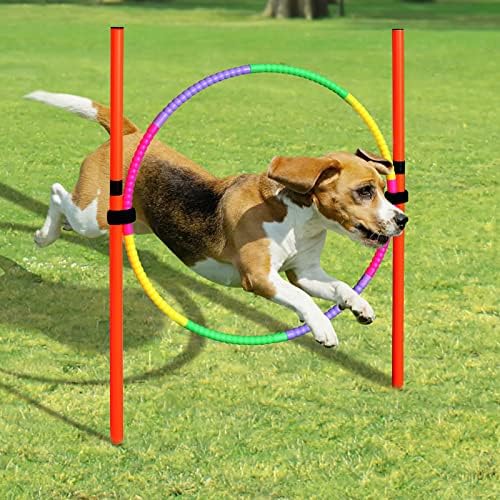 ציוד אימוני זריזות כלבים חיצוניים קפיצת ספורט ספורט ספורט מוט מסלול מכשולים חיית מחמד ניידים שנקבע לחצר האחורית