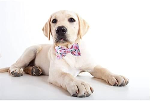 HFDGDFK צווארון כלבי כותנה עם עניבת פרפר סגול צווארון כלב פרחים סגול לכלב קטן בינוני גדול
