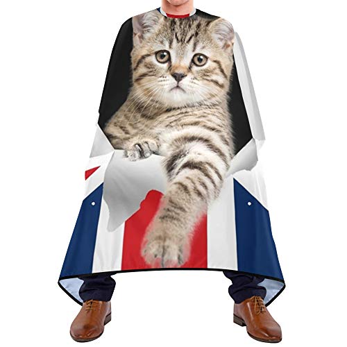 אלזה 3 ד חתול חמוד קידוח החוצה את הדגל הבריטי עמיד למים ברבר קייפ לגברים נשים זקן גילוח סינר סינר מקצועי שיער חיתוך בד, 65 איקס 55 אינץ